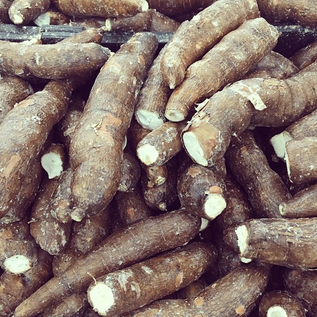 Kamoteng Kahoy (Cassava)