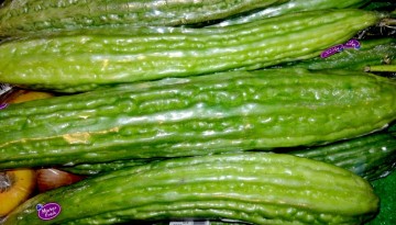 Ampalaya