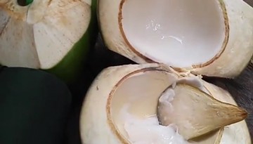 Buko: Young Coconuts in the Philippines