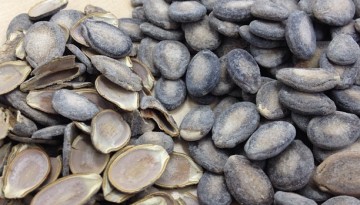 Buto ng Pakwan (Shells and Uncracked Seeds)