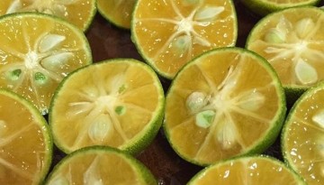 Calamansi Fruits Sliced into Halves