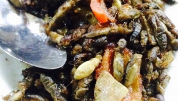 Camaru (Filipino Crickets)