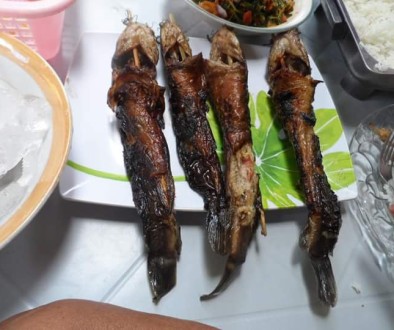 Inihaw na Hito (Grilled Catfish)