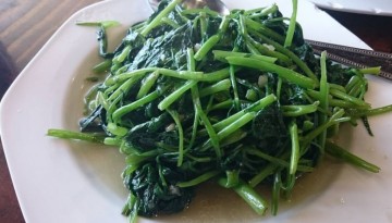 kangkong