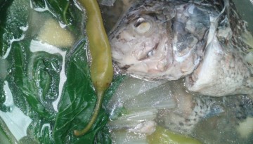 Pesang Tilapia