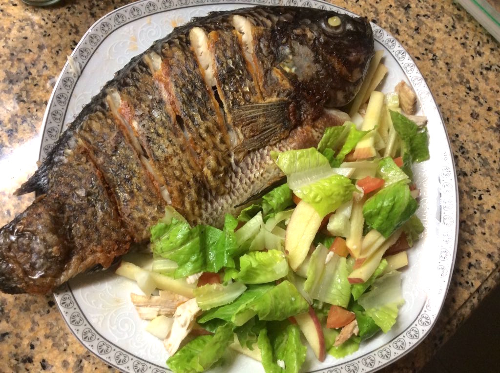 Pla-Pla: Big Tilapia Fish