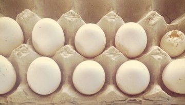 White Eggs