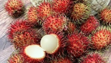 rambutan fruits