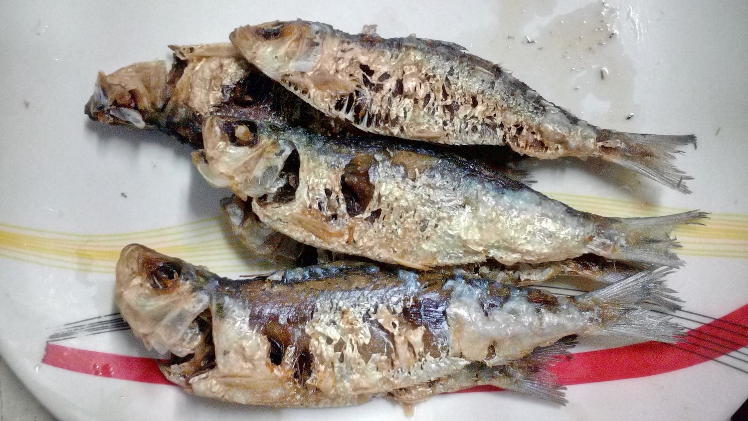 Tawilis: Philippine Fish