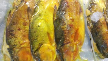 Vacuum-packed Tinapang Bangus